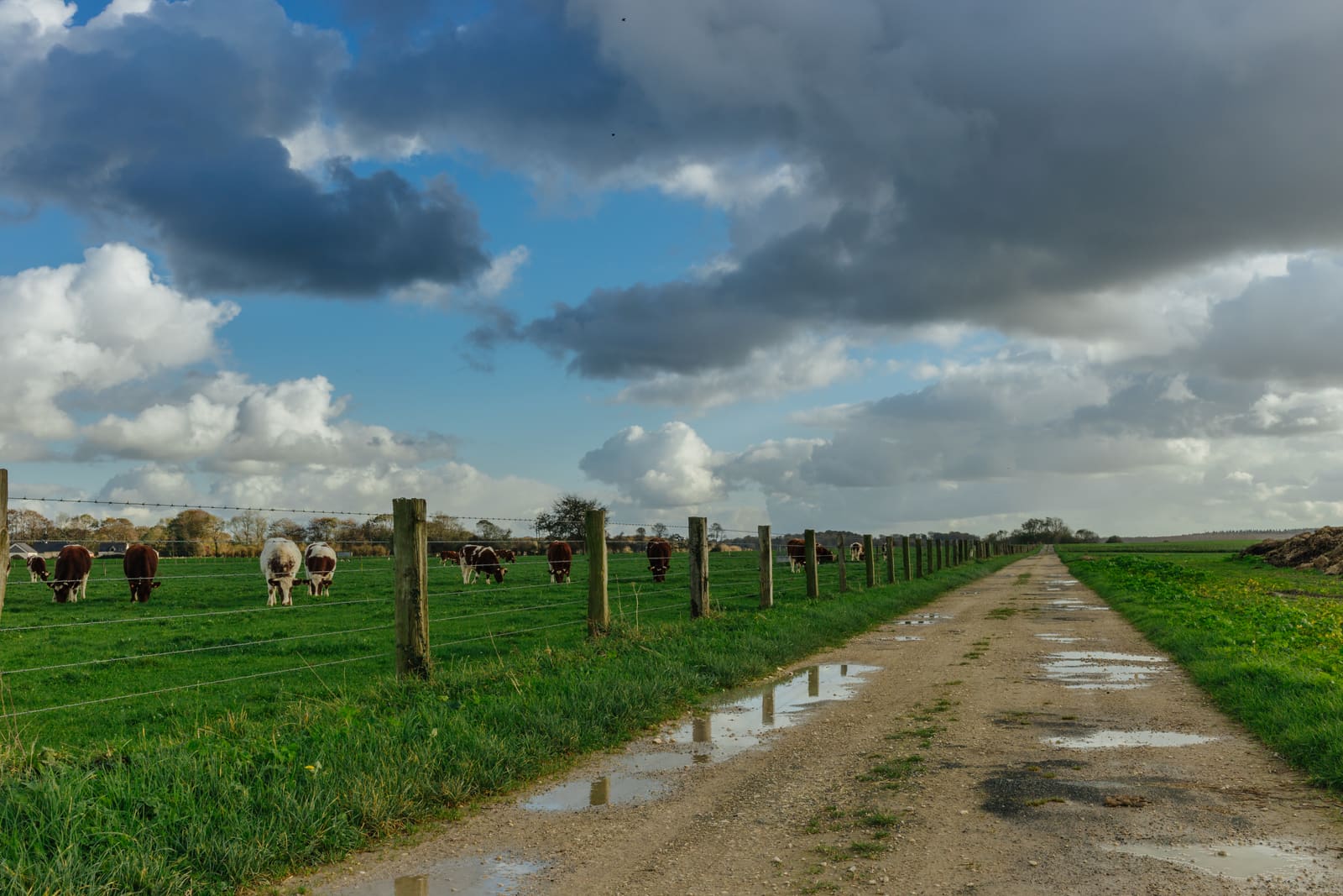 Farm Roads by LB Construction